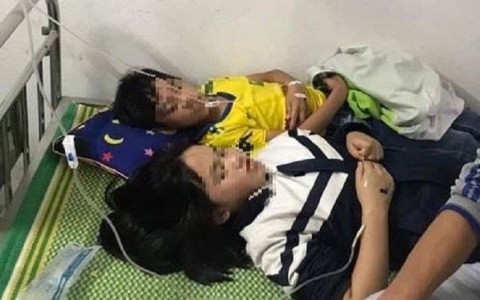 16 em học sinh nhập viện do bị ong đốt ở Nghệ An